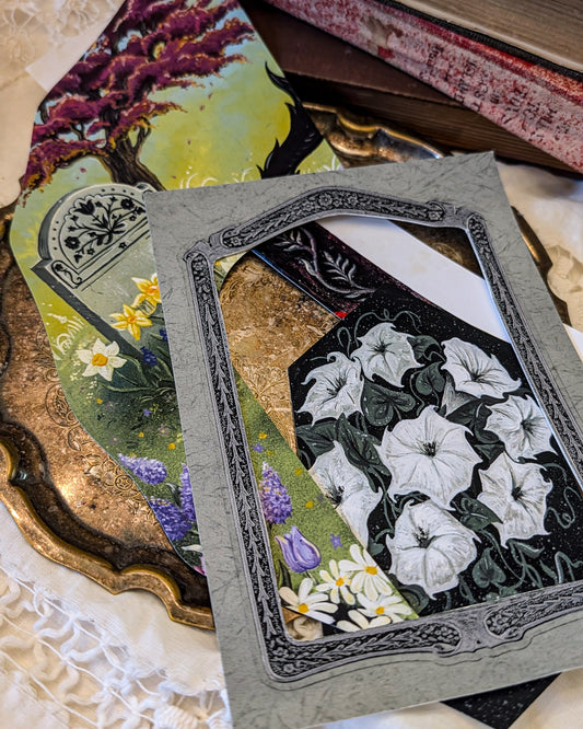 Crafting Paper Scrap Packs