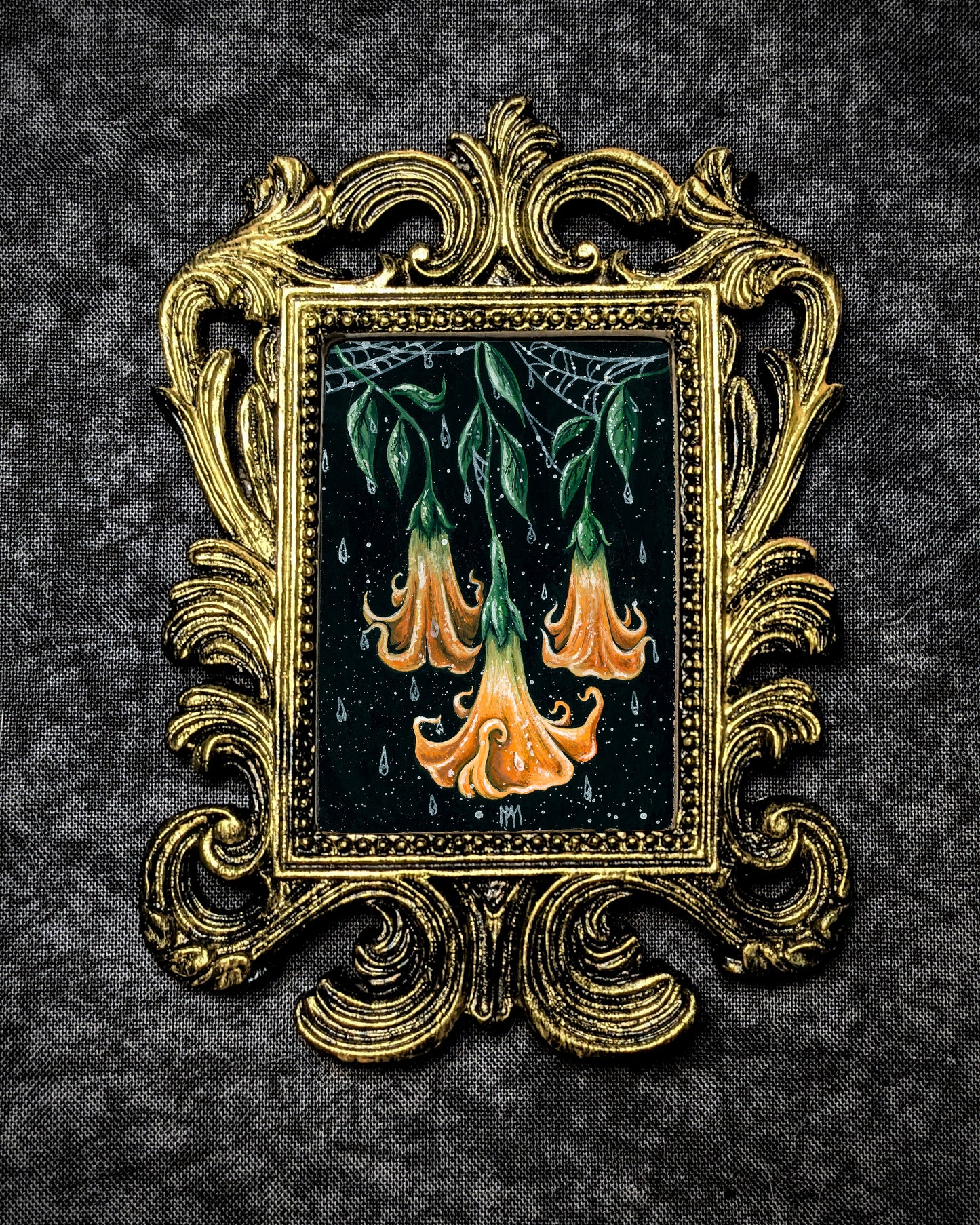 Angel's Trumpet Framed Print