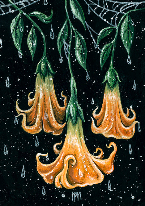 Angel's Trumpet Giclee Print