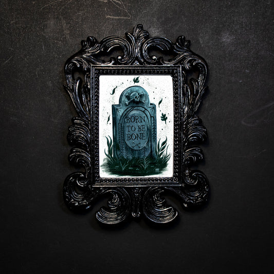 Born to be Bone Framed Print