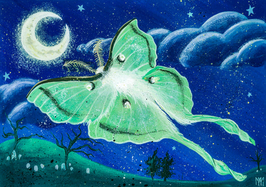 June Patreon Exclusive - Luna Moth