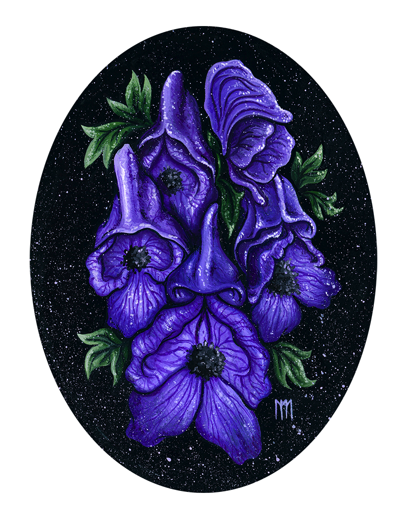 Monkshood Giclee Print