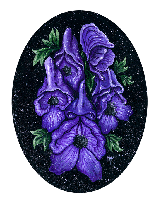 Monkshood Giclee Print